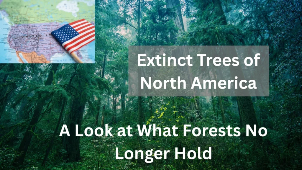 Extinct Trees of North America