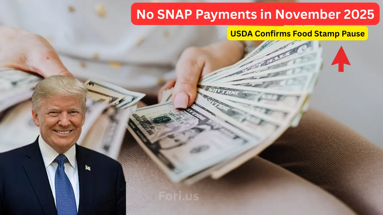 No SNAP Payments in November 2025