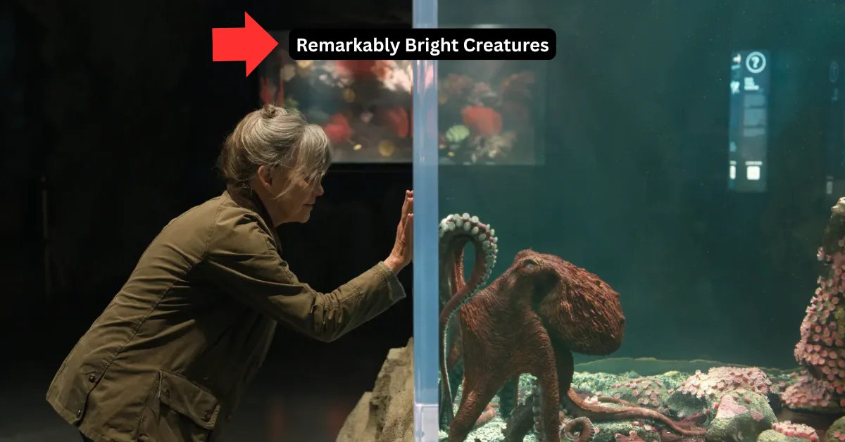 Remarkably Bright Creatures